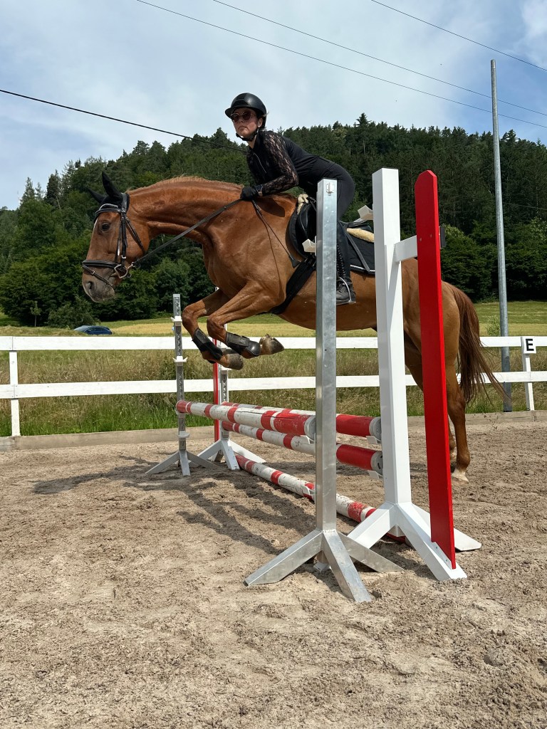 Unsere eitlehrerin MArcelina auf Chilli über einen Sprung.